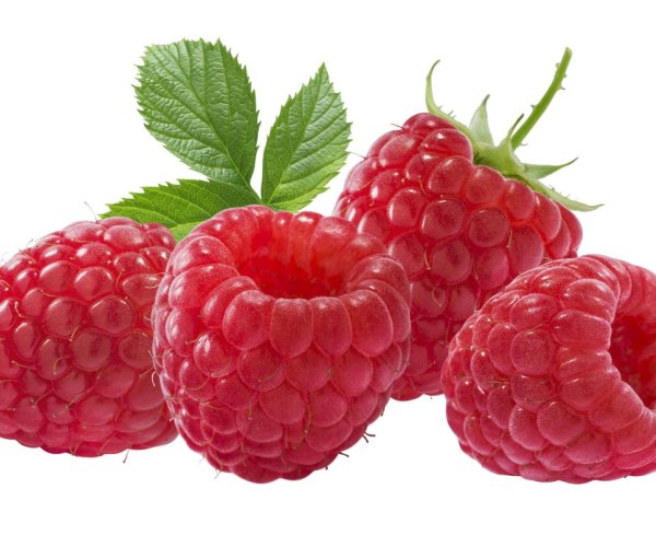 Ягода малина на белом фоне