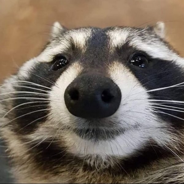 Смайлики для дискорда