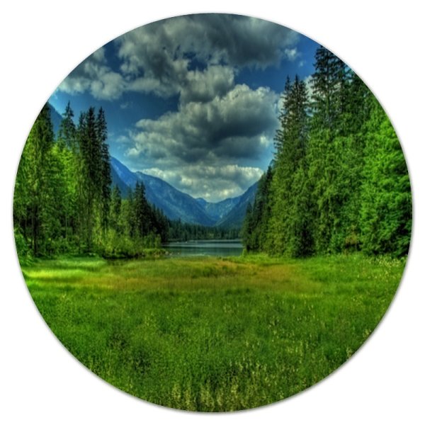 Круглое в природе