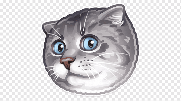 Кошачьи морды Стикеры