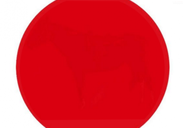 Большие круги красного цвета