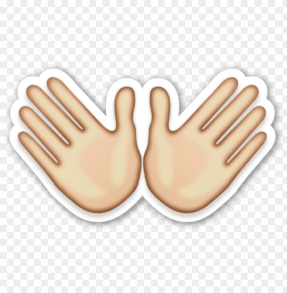 Две ладошки