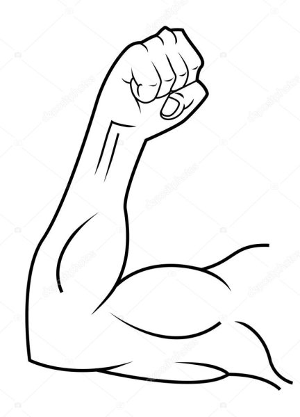 Бицепс карандашом