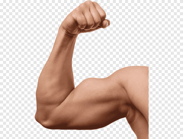 Мускулистая рука