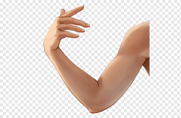 Рука полностью