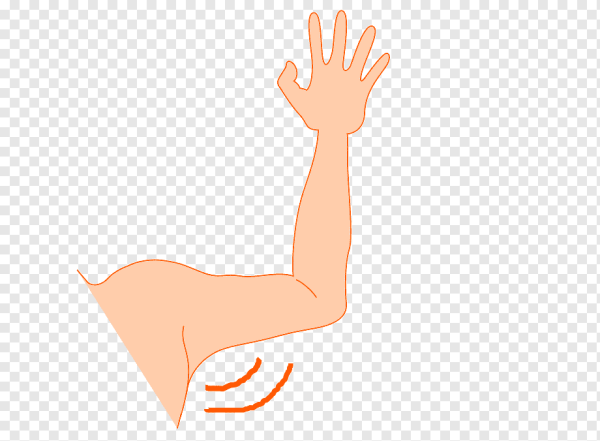 Согнутая рука вектор