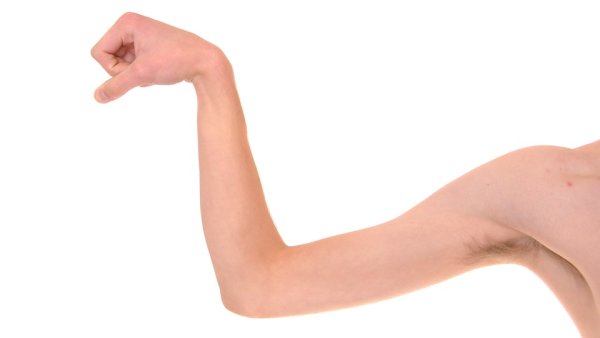 Маленький бицепс