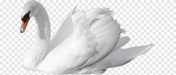 Лебедь мультяшный