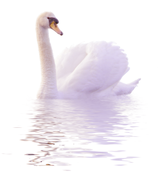 Смайлик лебедя на фоне