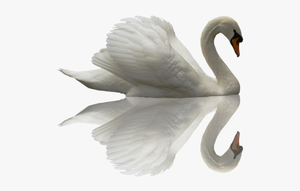 Лебеди мультяшные