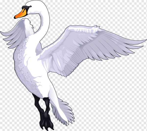 Озеро с лебедями на прозрачном фоне