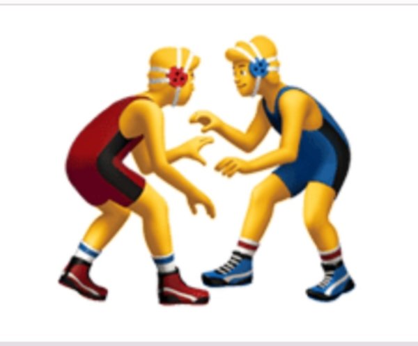 Смайлик борьба