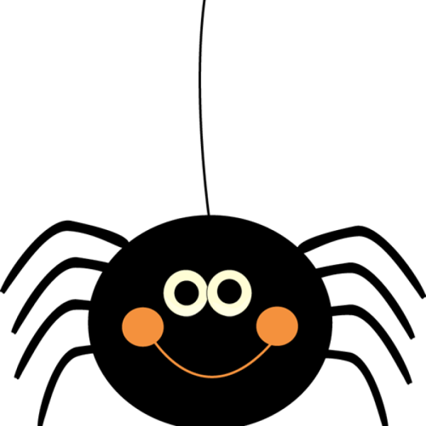 Маленький паучок на белом фоне