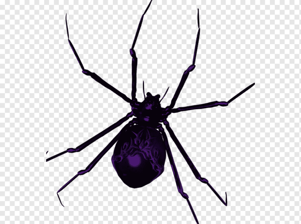 Purple Spider Emblem