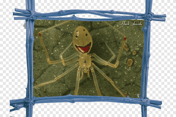 Паук страшной мультяшный