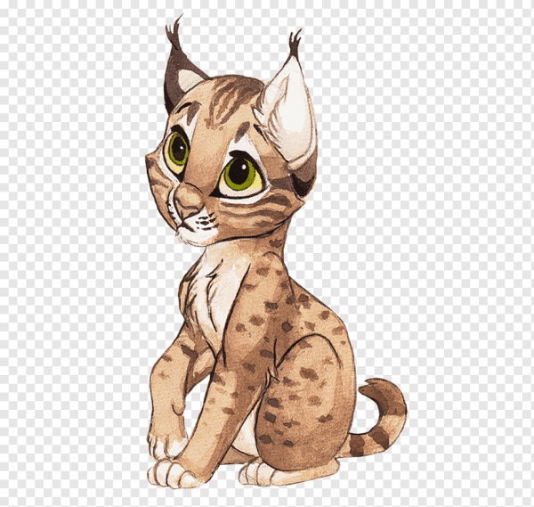 Рысь рисунок