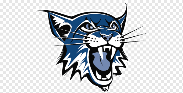 Большие кошки на прозрачном фоне