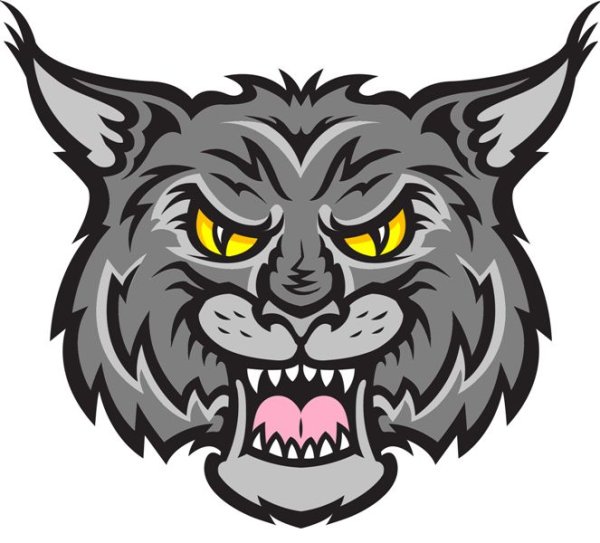 Рысь клипарт на прозрачном фоне