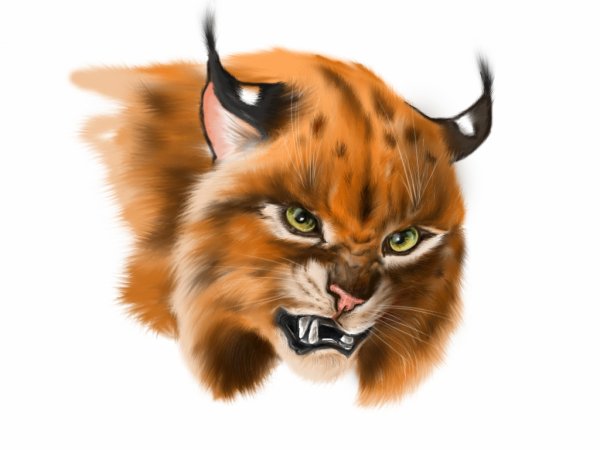 Эмблема кота для клана