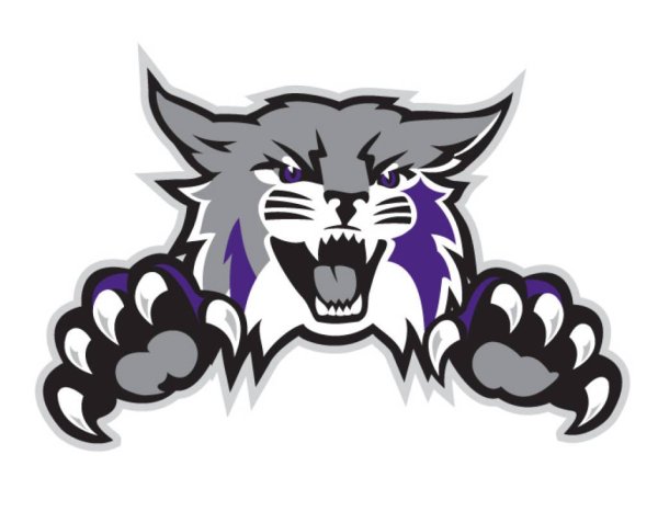 Рысь для детей