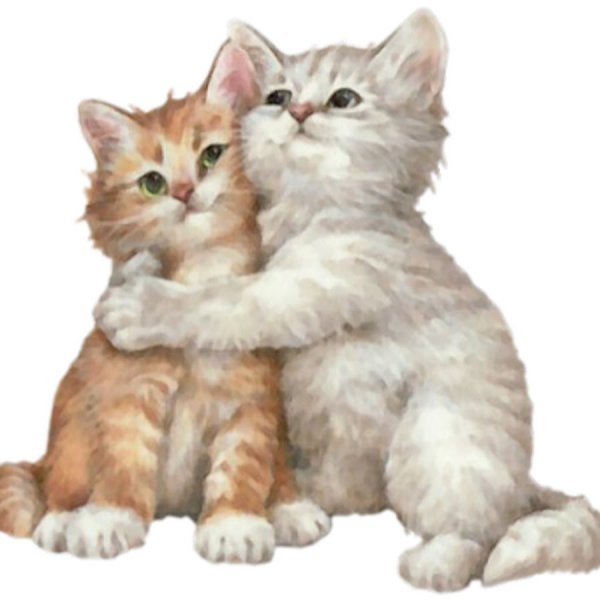 Любовные анимированные Стикеры