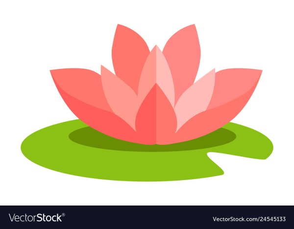 Кувшинка в иллюстраторе