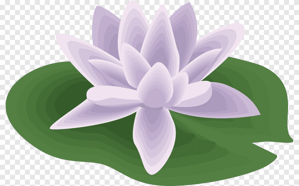 Кувшинки мультяшные