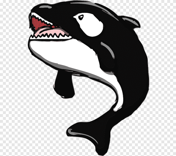 Касатка смеется