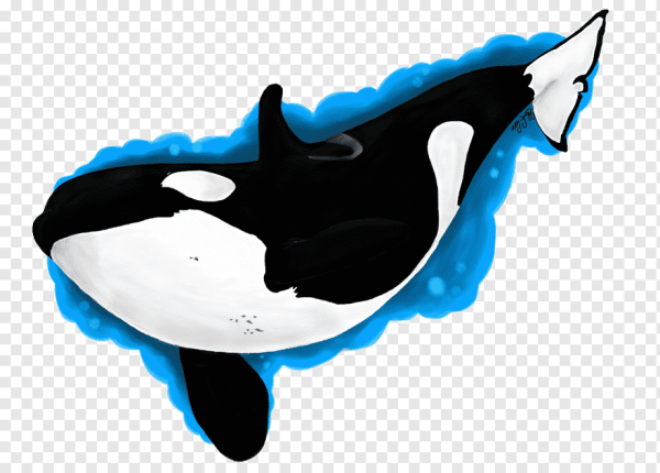 Касатки мультяшные