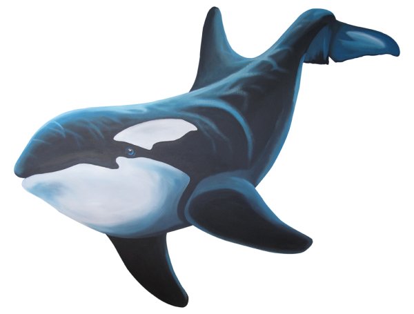 Касатка для детей