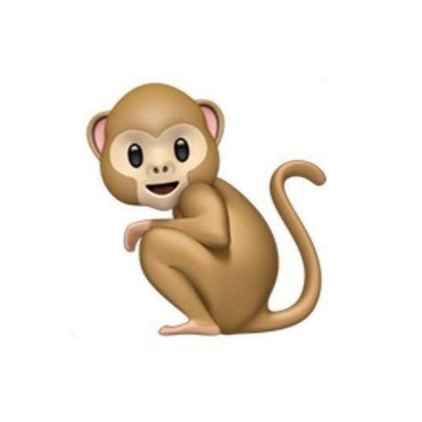 Стинки обезьяна