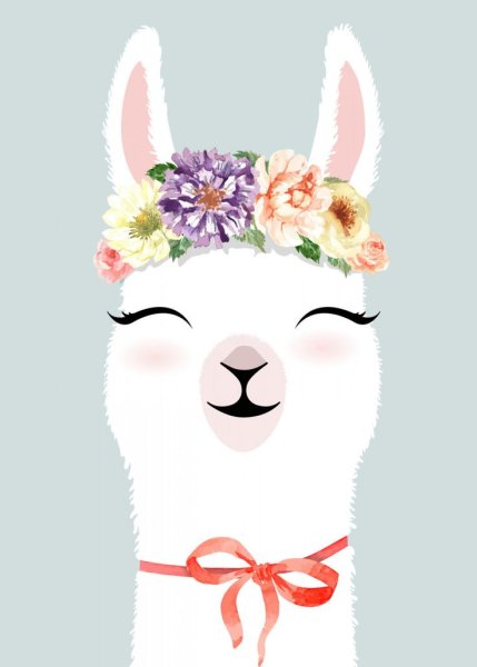 Прикольные рисунки ламы альпаки с надписями