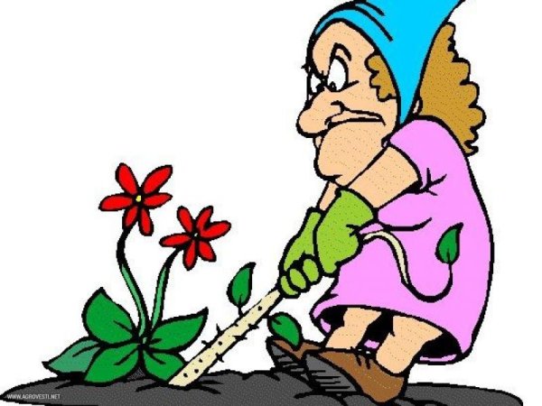 Сорняки мультяшные