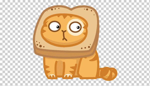 Кот персик из ВК