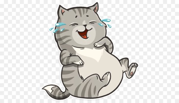 Прикольные Стикеры котики