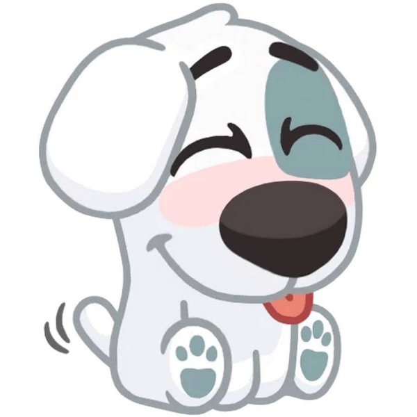 Спотти с гитарой