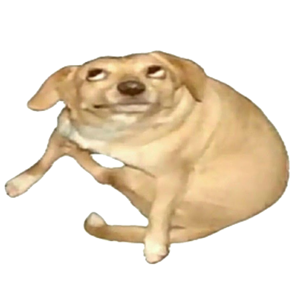 Упоротая собака на белом фоне