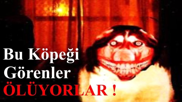 Картун КЭТГ крипипаста