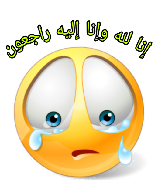 Смайлик и зоднокласснтков