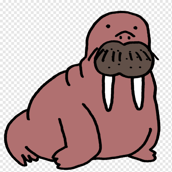 Морж для детей