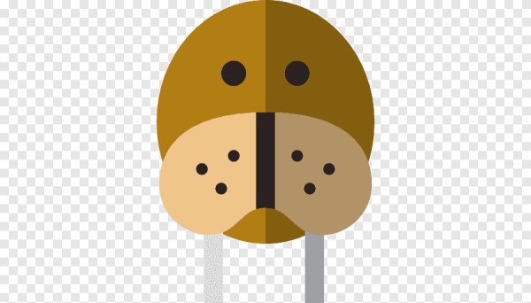 Моржи мультяшные