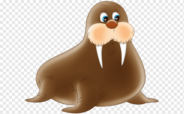 Морж для детей