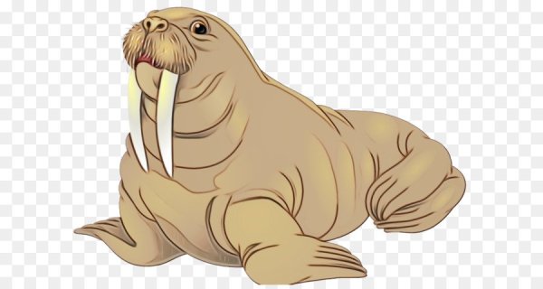 Морж наклейка