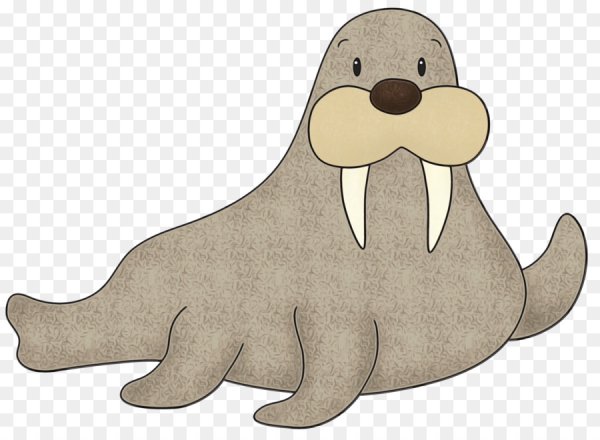 Доктор морж арт