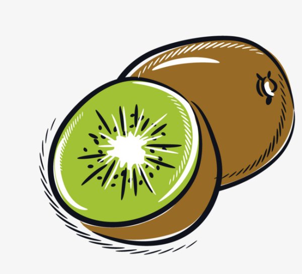 Киви вектор