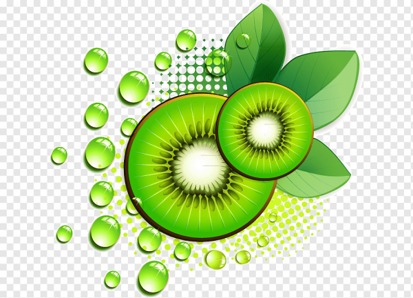 Долька киви вектор