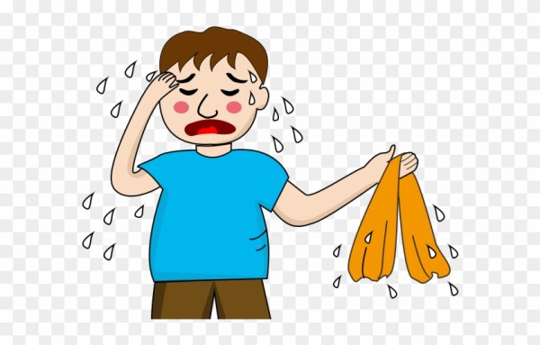 Потоотделение рисунок