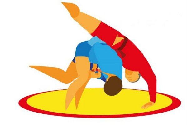 Самбисты на прозрачном фоне