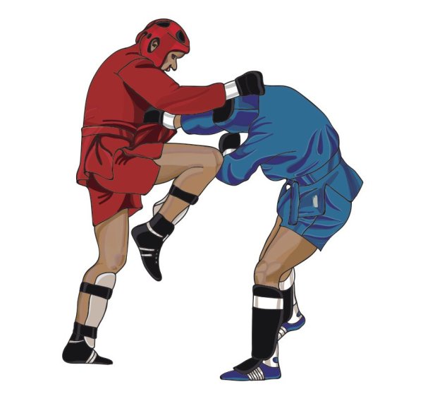 Самбо иллюстрация