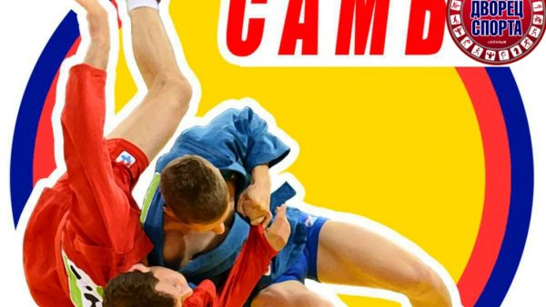 Самбо борьба рисунок